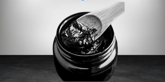 Shilajit Price in USA: What You Need to Know Before You Buy