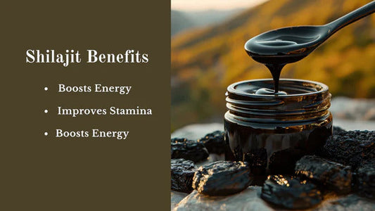 What are the Himalayan Shilajit Resin Benefits?