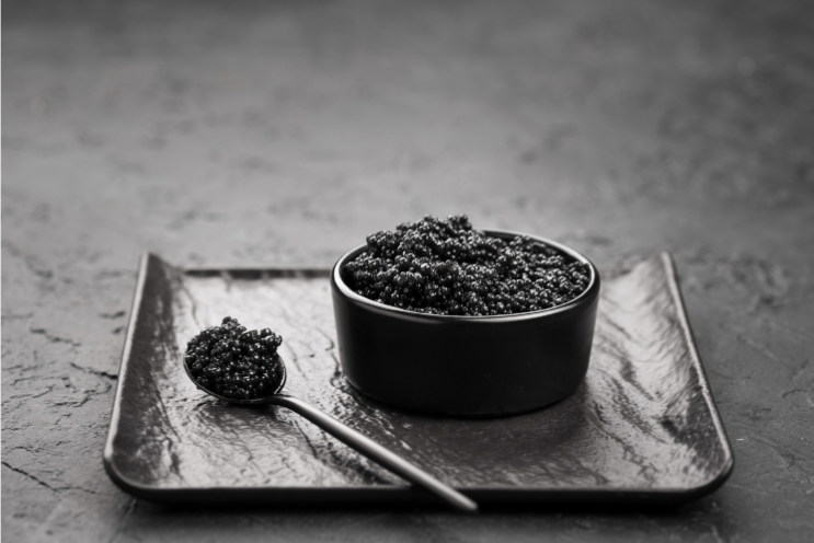 Why Shilajit Price in USA Varies & How to Choose Wisely